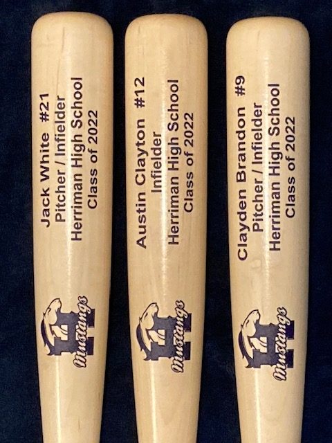 Economical Team Award Engraved Bats