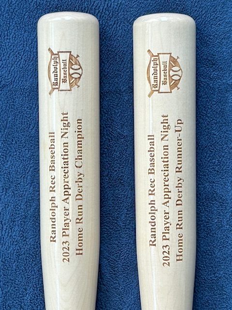 Economical Team Award Engraved Bats