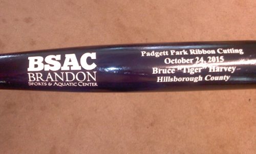 custom engraved bats Event awards